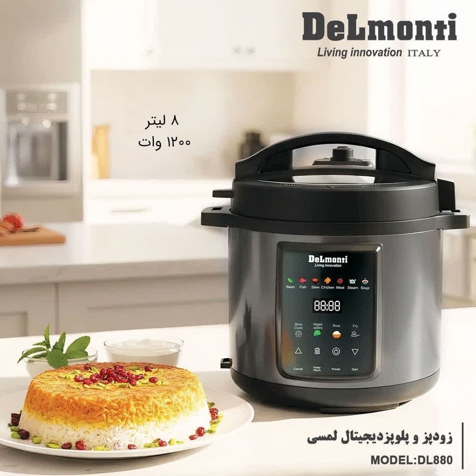 پلوپز و زودپز 15 کاره DELMONTI دلمونتی مدل 880 DL با ضمانت 18 ماهه ارسال رایگان