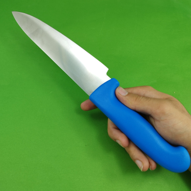 چاقو آشپزخانه اکبری دسته آبی مدل P724 بسته 1 عددی ارسال رایگان