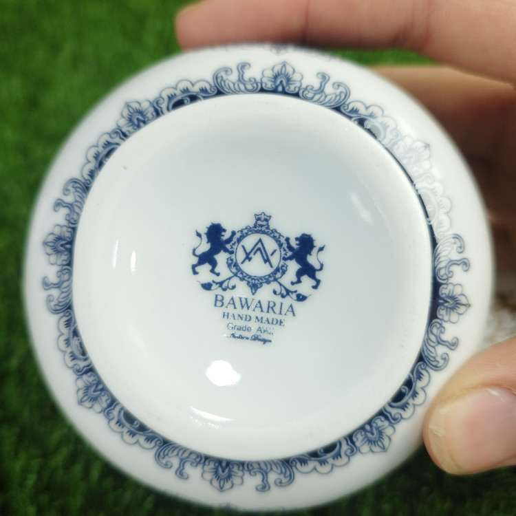 آبلیمو خوری چینی جفتی باواریا مدل آکسفورد دالبر آبی کد 002 بسته 2 عددی با ارسال رایگان