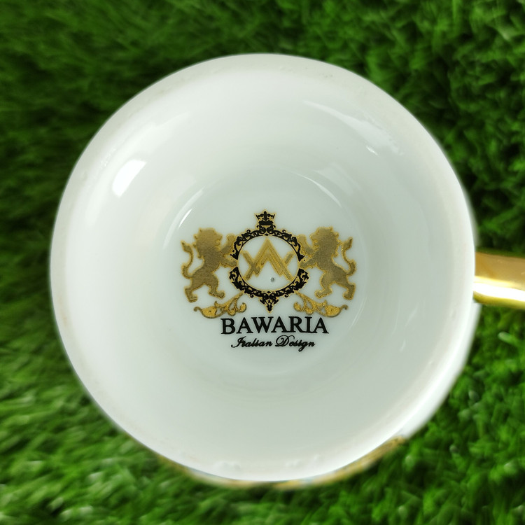 ست فنجان و نعلبکی چینی BAVARIA مدل پرنس 0012 p با ارسال رایگان
