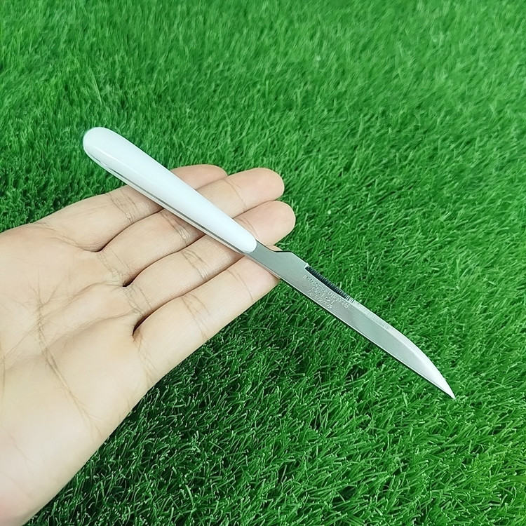چاقو میوه خوری MTG مدل 6214 کد 6 بسته 12 عددی با ارسال رایگان